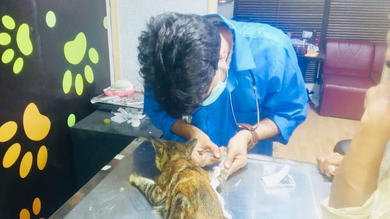 PET-VET ANIMAL CARE HOSPITAL in Lahore, Punjab