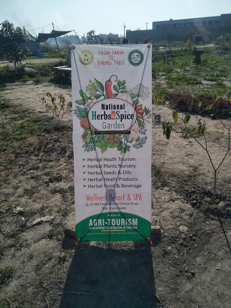 Madina Sugar Mills Ltd in Chiniot, Punjab