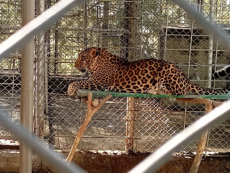 Shimla Pahari Park in Abbottabad, Khyber Pakhtunkhwa