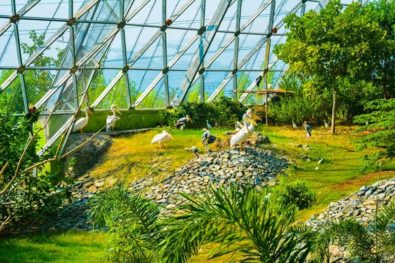 Sardar Patel Zoological Park, Ektanagar in Ektanagar, GJ