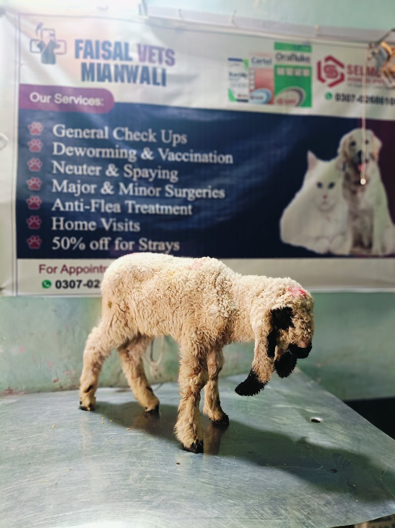 Faisal Veterinary Clinic Mianwali in Mianwali, Punjab