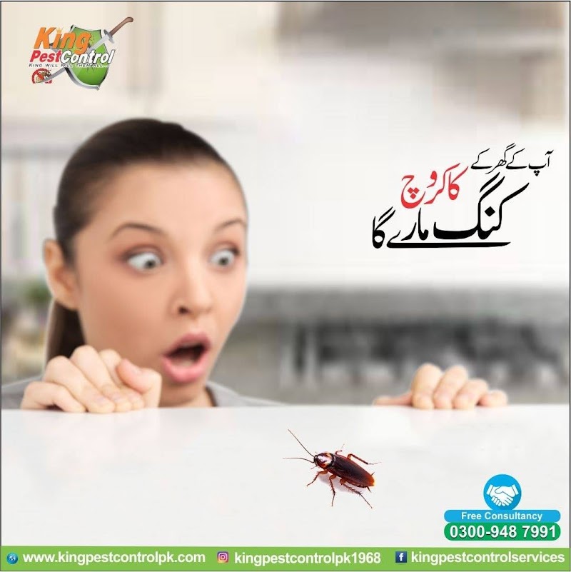 King Pest Control | Termite Treatment Services | Termite Control Lahore | Pest Control in Lahore in Lahore, Punjab