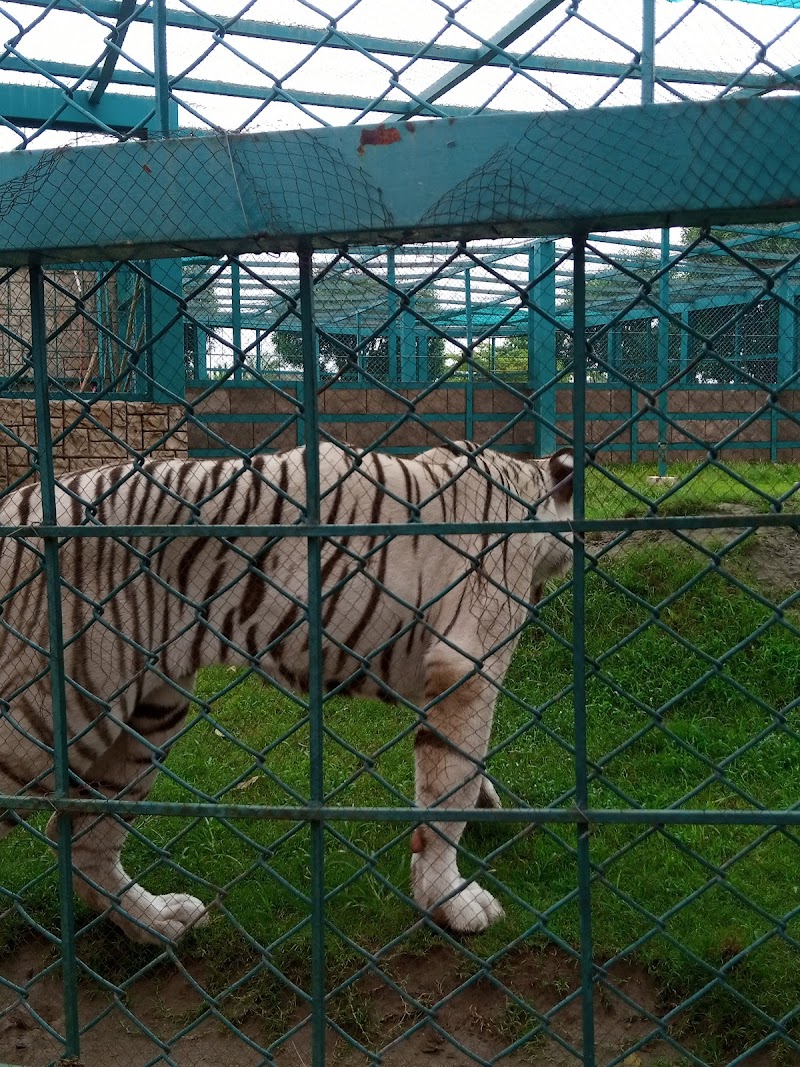 Citi Land Theme Park in Jhelum, Punjab