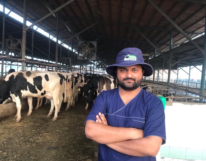 Sidhu Vet Clinic & Pet Shop Bahawalnagar | Animal Ultrasound Services | Animal Hospital | Cat & Dog in Bahawalnagar, Punjab