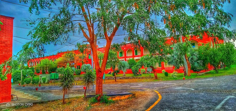 University of the Punjab, Jhelum Campus in Jhelum, Punjab