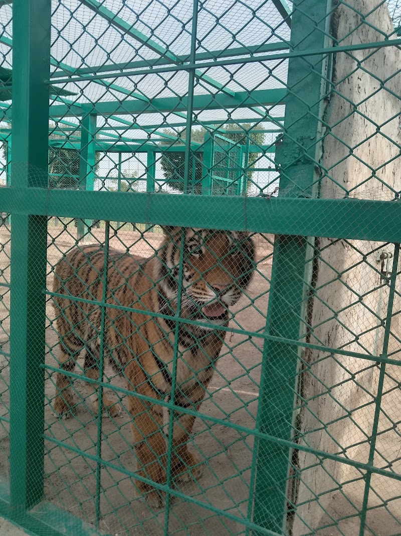 Citi Land Theme Park in Jhelum, Punjab