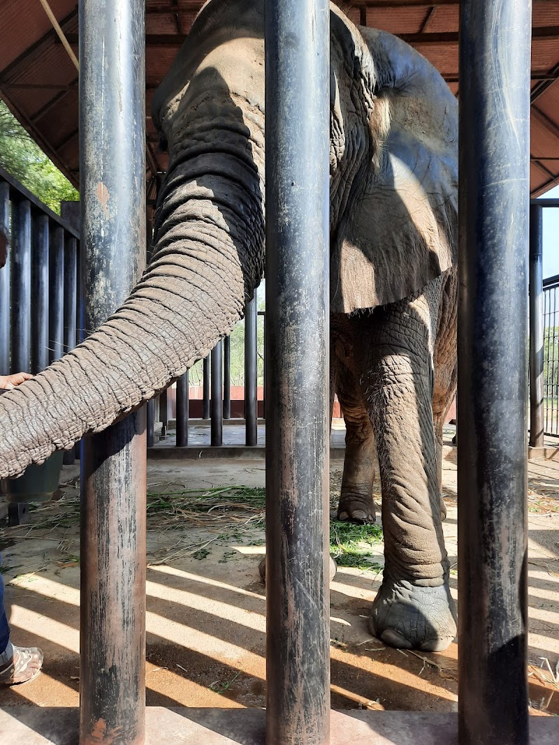 Safari Park in Karachi, Sindh