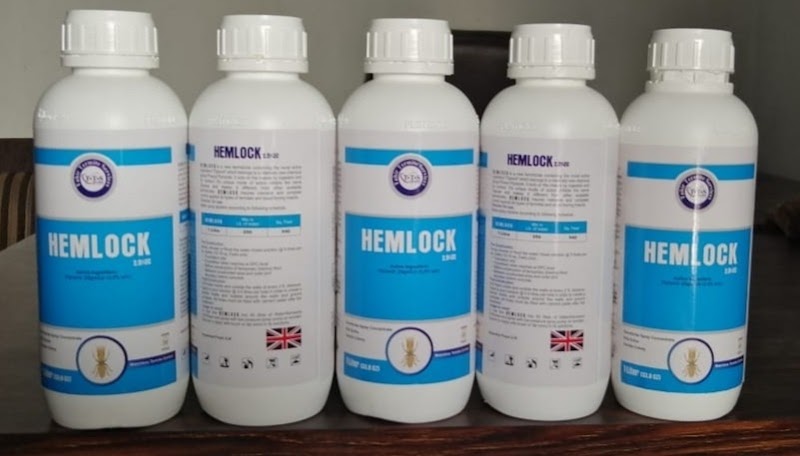 Tahir Termite Services in Lahore, Punjab