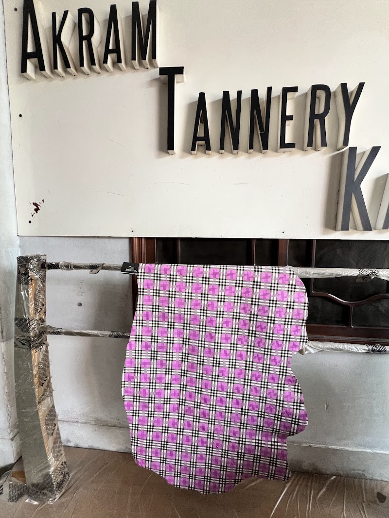 Akram Tannery in Kasur, Punjab