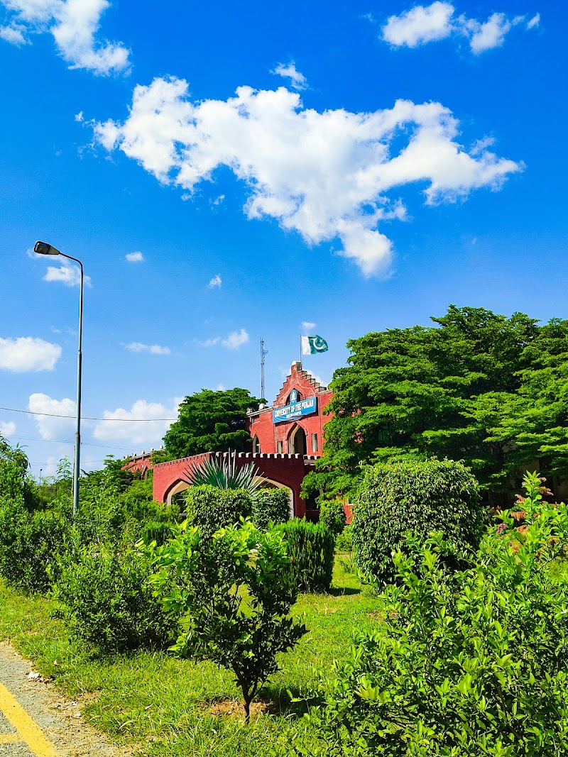 University of the Punjab, Jhelum Campus in Jhelum, Punjab