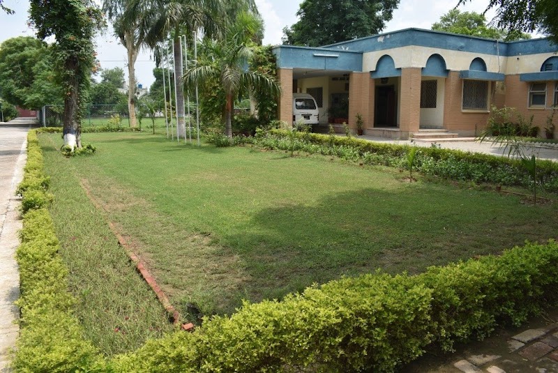 PAF College Sargodha in Sargodha, Punjab