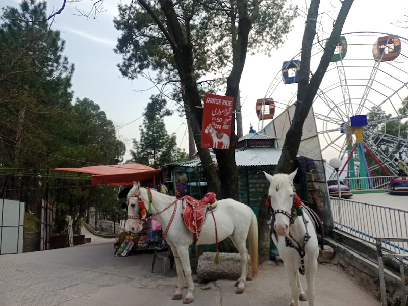 TDCP Patriata Chairlift and Cable Car in Patriata, Punjab
