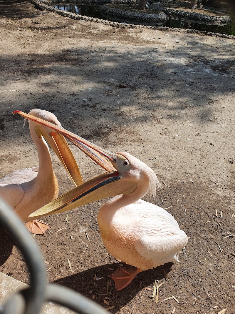 Zoo, Vehari in Vehari, Punjab