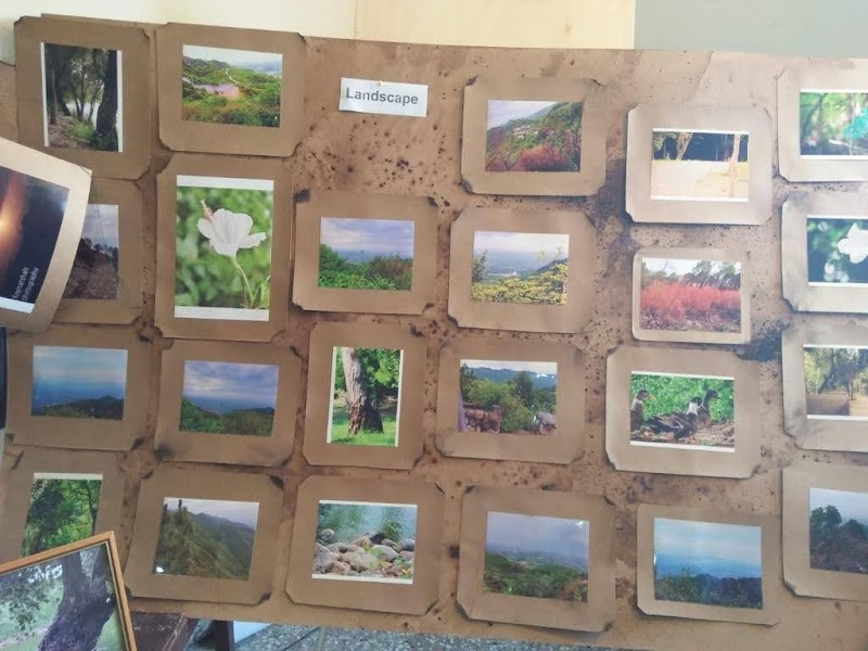 Rawalpindi Institute of Art & Design in Rawalpindi, Punjab