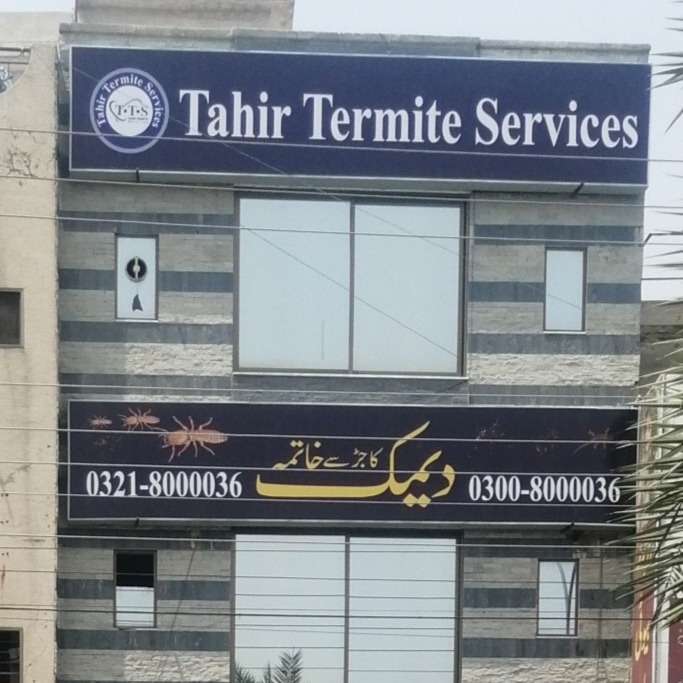 Tahir Termite Services in Lahore, Punjab