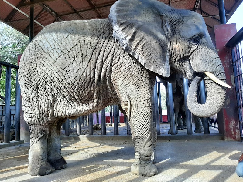 Safari Park in Karachi, Sindh