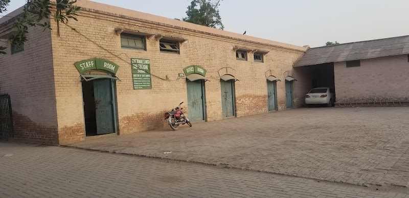 Dates Farm in Jhang, Punjab