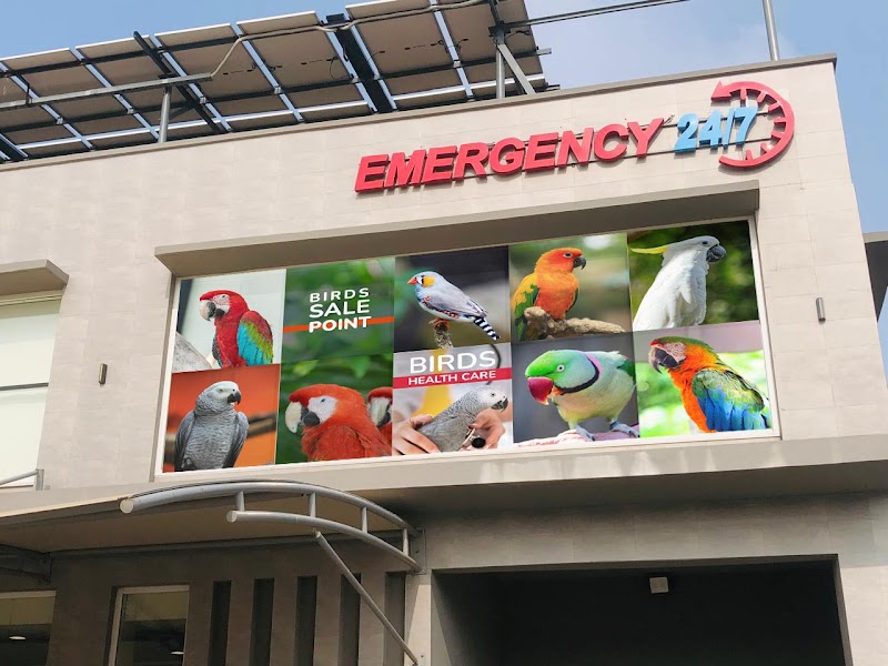 Round Lake Animal Hospital in Lahore, Punjab
