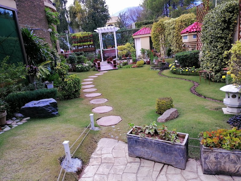 PsychCare | Dr. Semra Salik - Consultant Clinical Psychologist | Psychotherapist in Islamabad, Islamabad Capital Territory