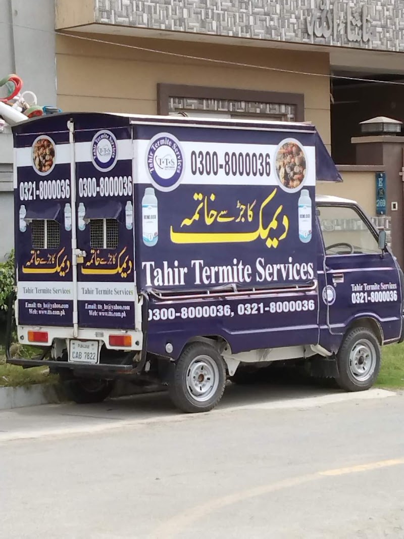 Tahir Termite Services in Lahore, Punjab
