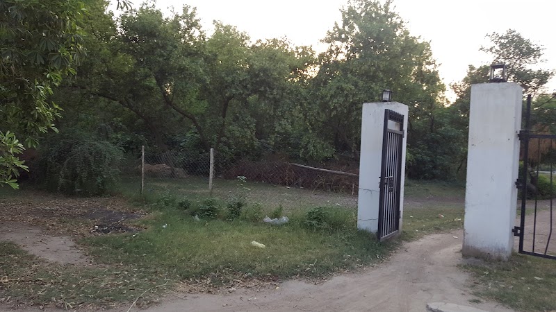 Rajana Forest Bhagat Wildlife Park in Chak 284 Gb, Punjab