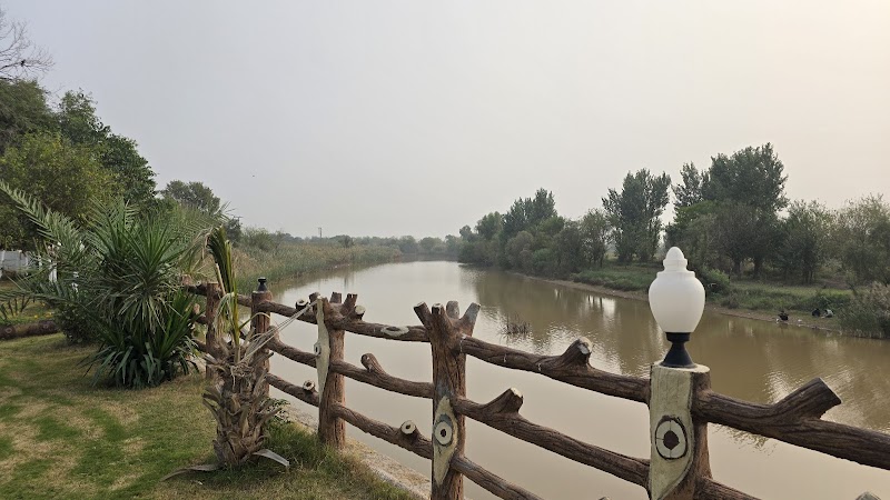 Akorwal Fish Point in Fateh Jang, Punjab