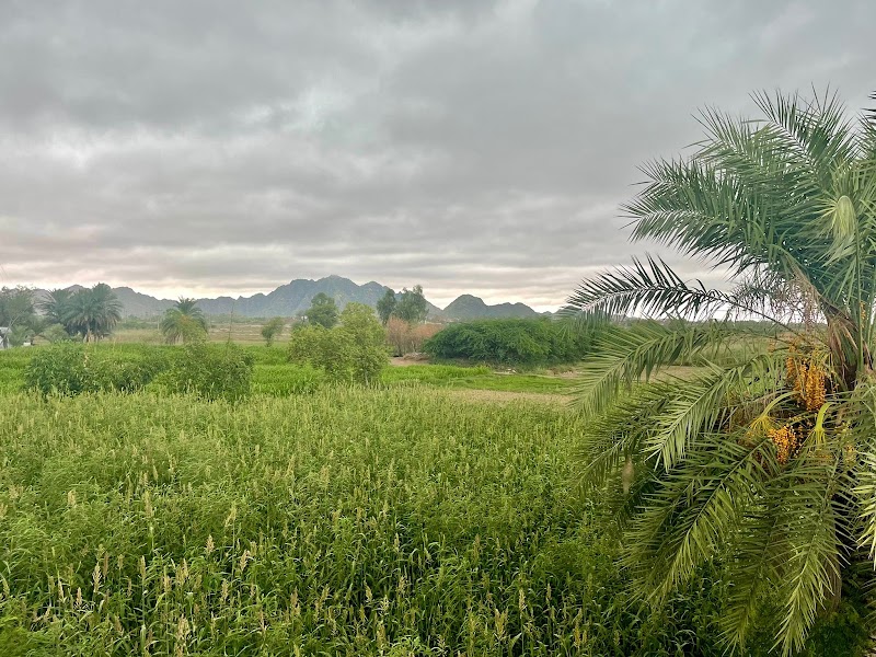 Anjuman Aastan-i-Fazal in Sargodha, Punjab