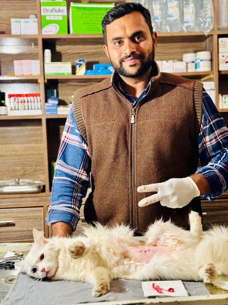 Vterinary health Care hospital in Gujrat, Punjab