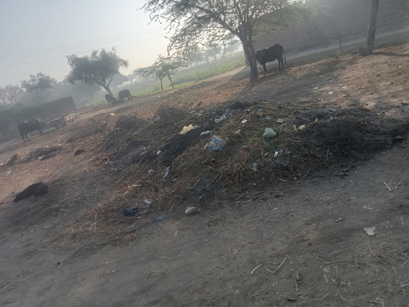 Faisalabad Waste Management Company in Faisalabad, Punjab