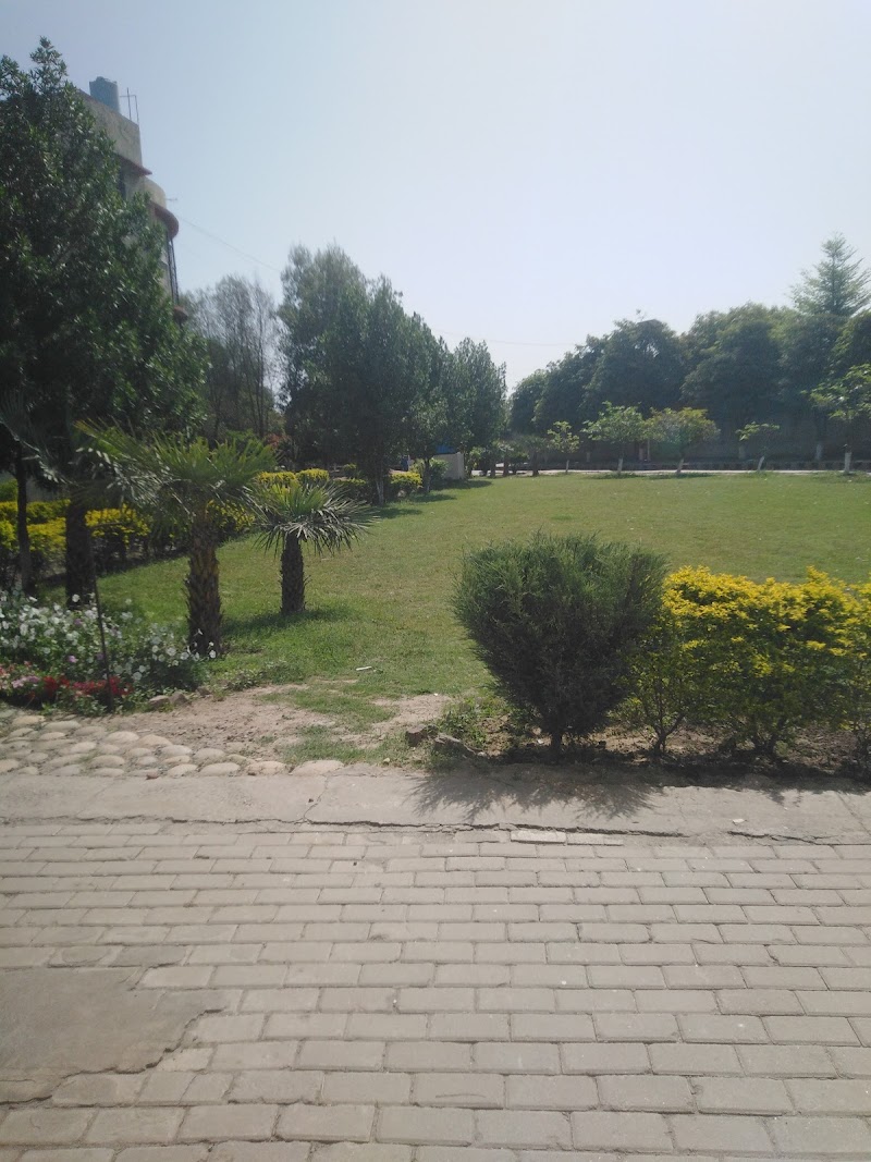 District Jinnah Public School in Mandi Bahauddin, Punjab