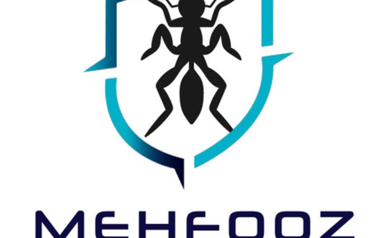 Mehfooz Termite Services