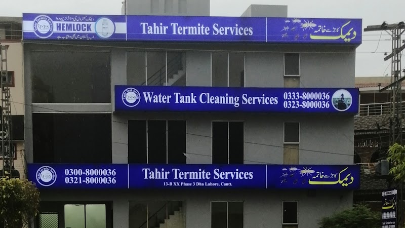 Tahir Termite Services in Lahore, Punjab