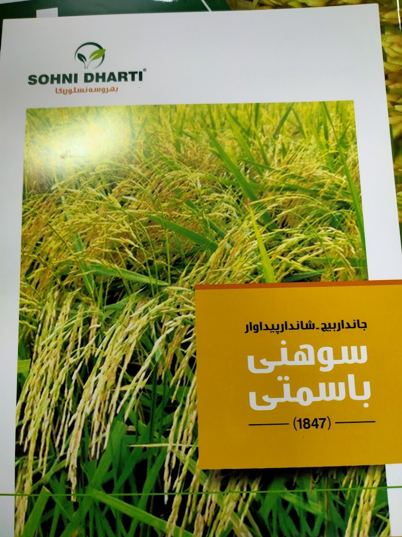 Sohni Dharti Seed Factory in Sahiwal, Punjab