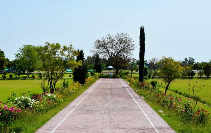 Chenab College Jhang in Jhang, Punjab