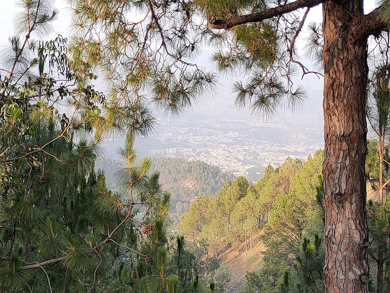 Shimla Pahari Park in Abbottabad, Khyber Pakhtunkhwa