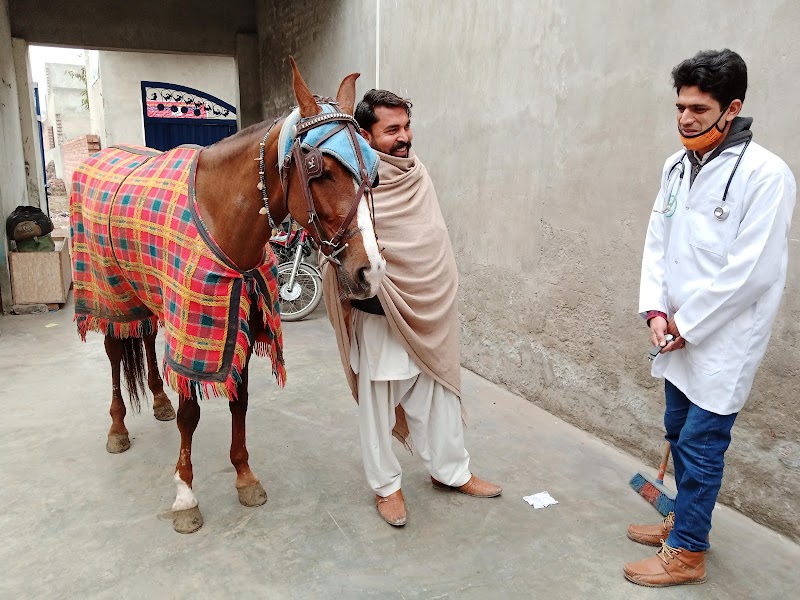 CALLVET ANIMALS & BIRDS HOSPITAL (CEODrAbdulWaheedFatim) in Lahore, Punjab