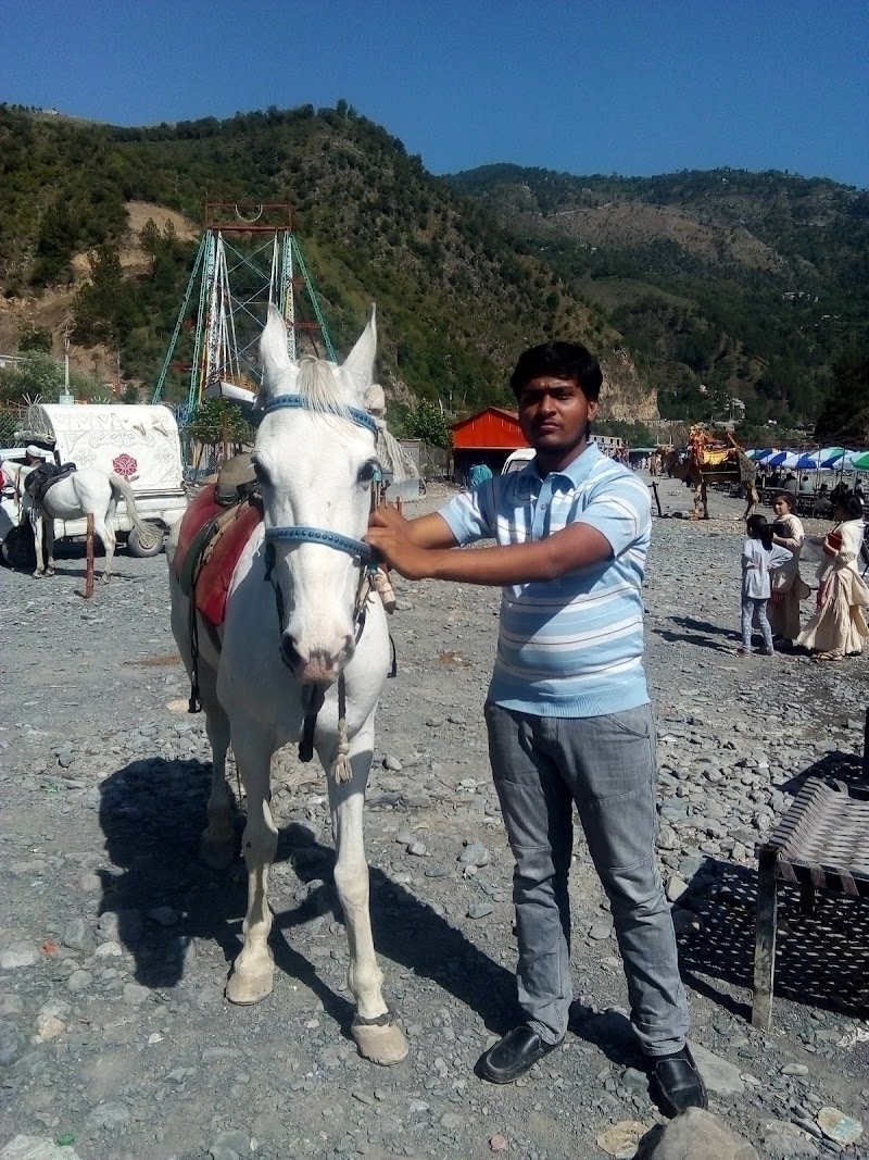 Harnoi Picnic Point, Abbottabad in Bunkot, Khyber Pakhtunkhwa