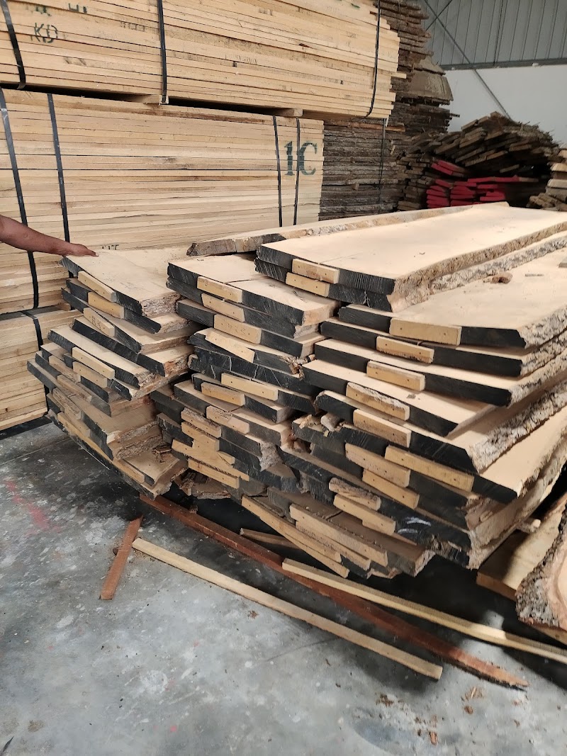 LN Timbers || Best Quality Wood And Plywood in Surat, GJ