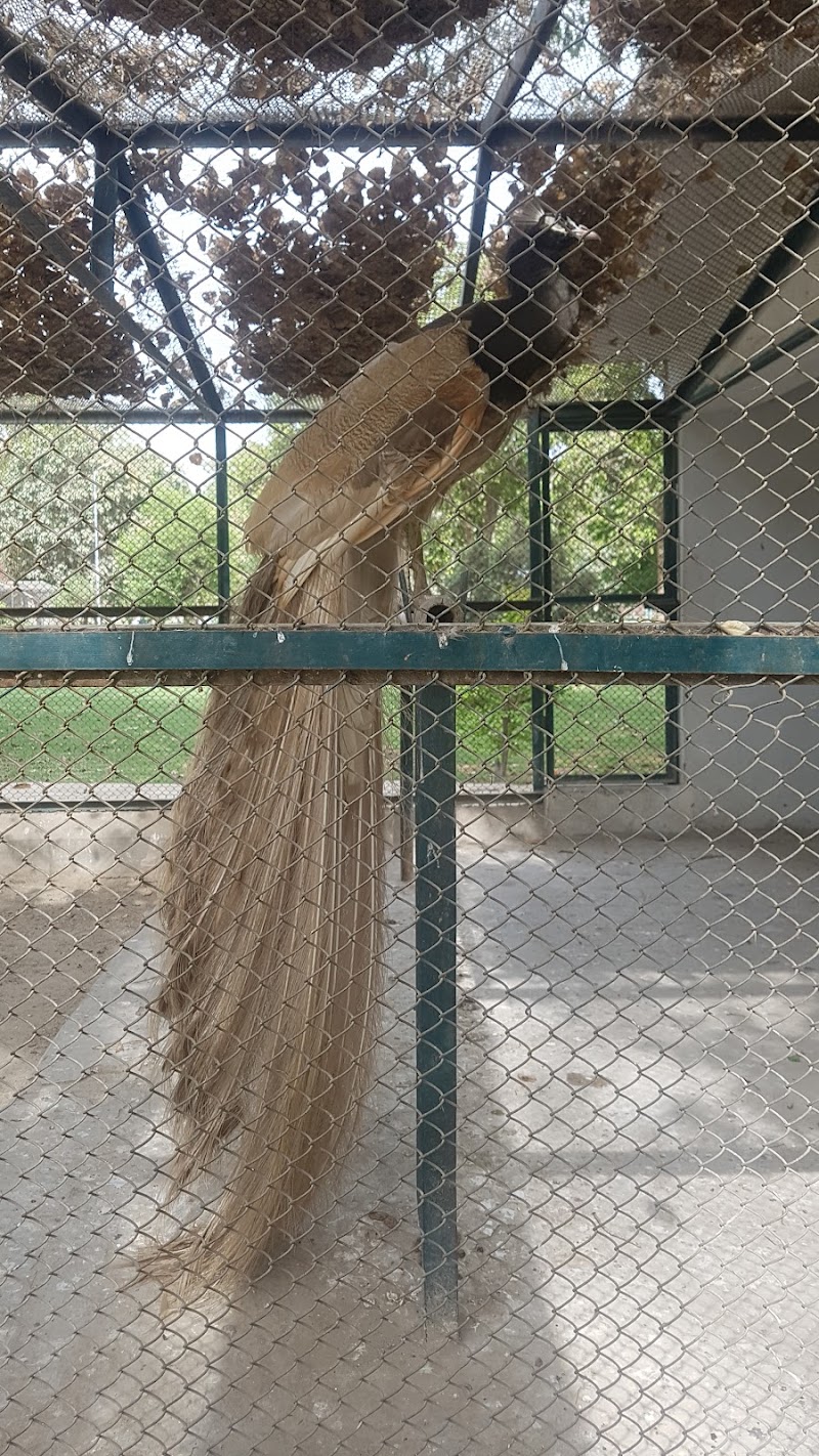 Zoo, Vehari in Vehari, Punjab