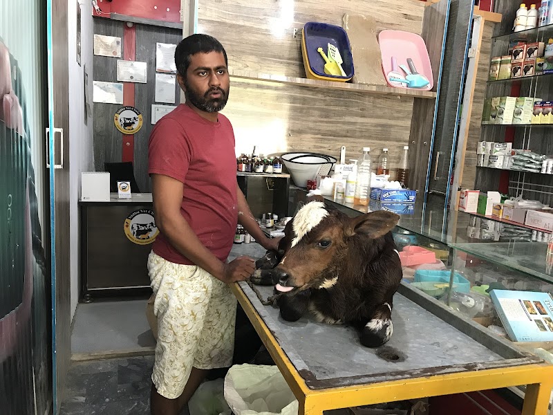 Sidhu Vet Clinic & Pet Shop Bahawalnagar | Animal Ultrasound Services | Animal Hospital | Cat & Dog in Bahawalnagar, Punjab