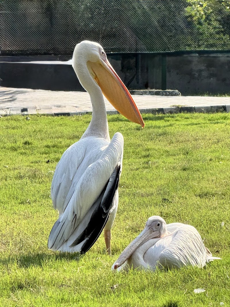 Lahore Wildlife Park in Lahore, Punjab
