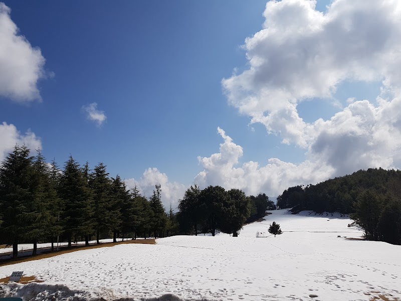 Chinar Golf Club in بھوربن, پنجاب