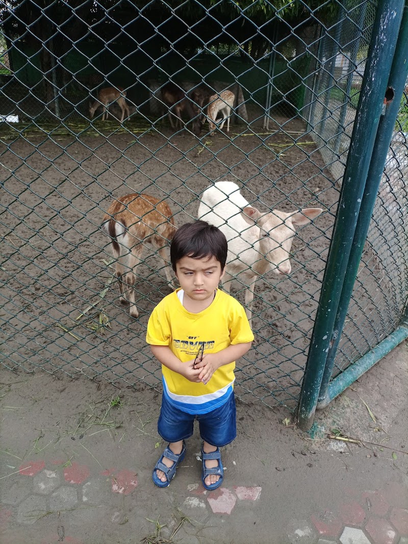 SafariPark in Lahore, Punjab