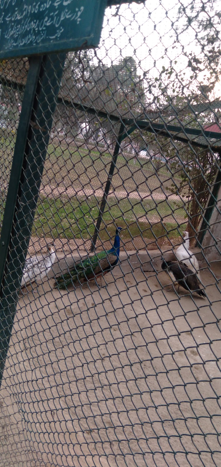 Wildlife Park Pirowal in Peerowal, Punjab