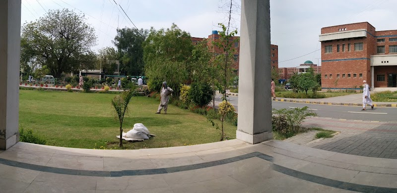 NFC IE&FR, Faisalabad in Faisalabad, Punjab