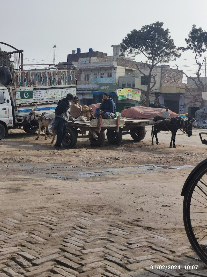Ghalla Mandi, Toba Tek Singh in Toba Tek Singh, Punjab