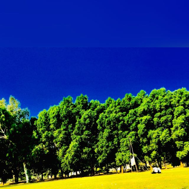 Amir Jan Park in Bahawalnagar, Punjab