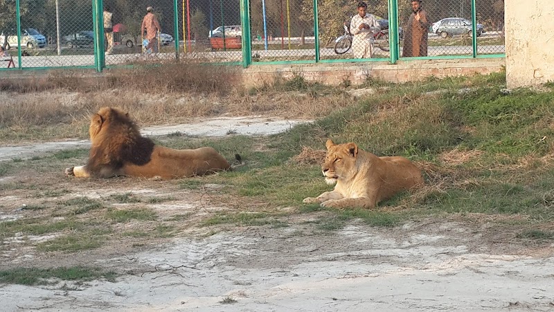 Lahore Wildlife Park