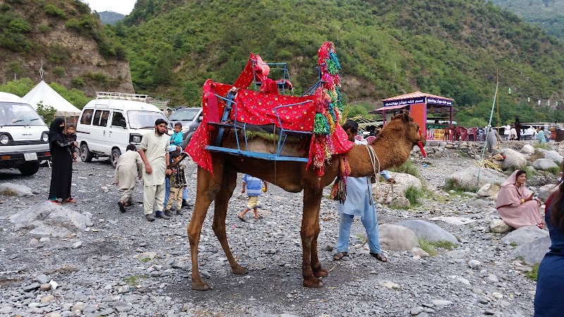 Harnoi Picnic Point, Abbottabad in Bunkot, Khyber Pakhtunkhwa