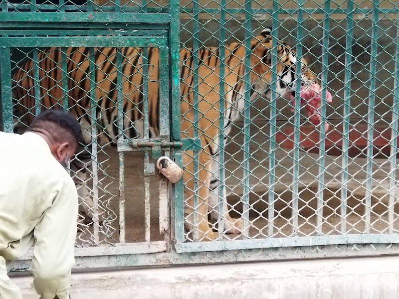 Lahore Wildlife Park in Lahore, Punjab